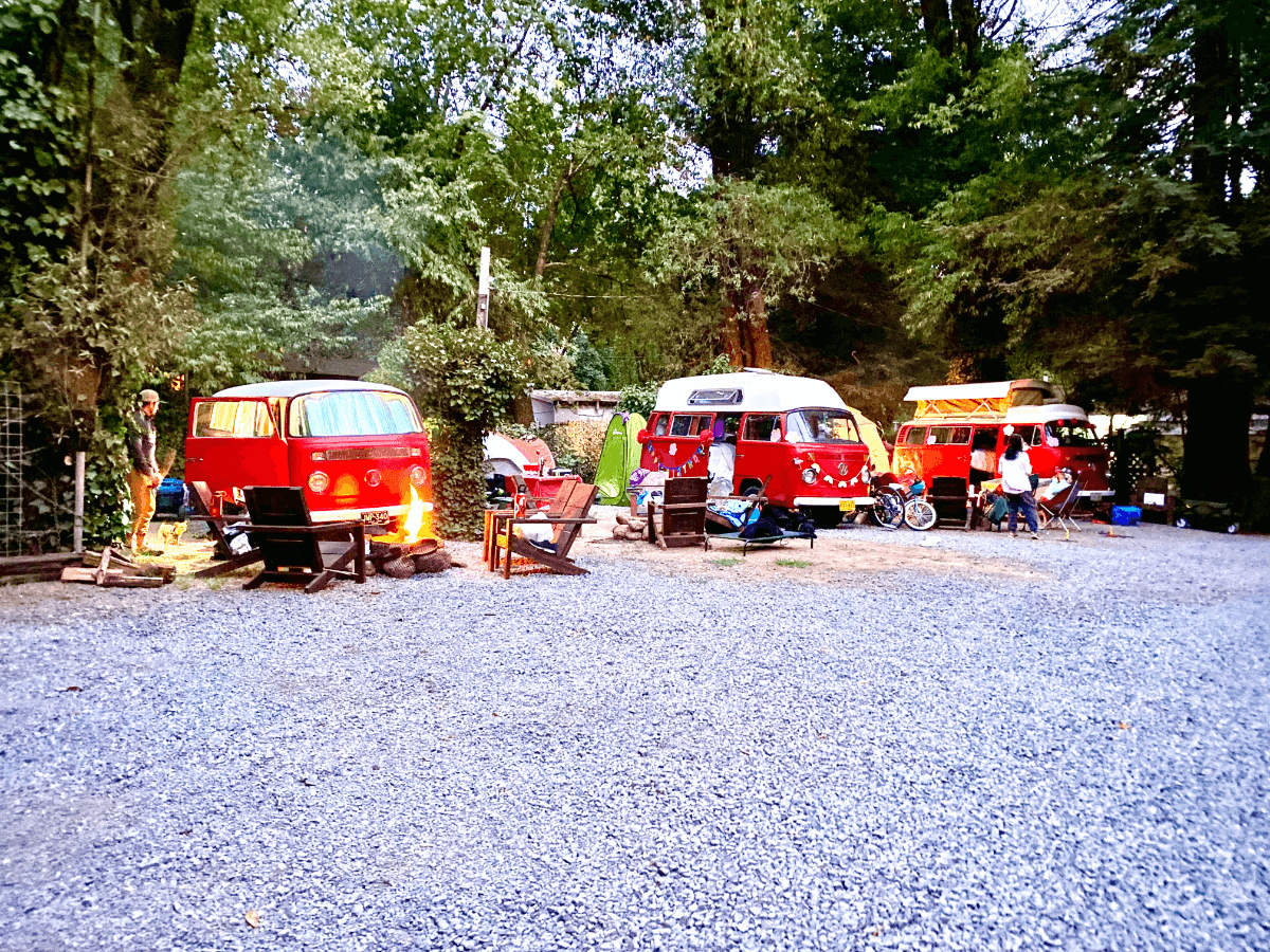 volkswagen buses campingsite